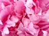 Image_new3