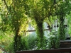 Image_new2